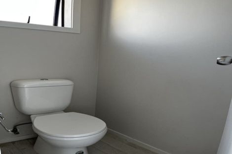 Photo of property in 53 Universal Drive, Henderson, Auckland, 0610