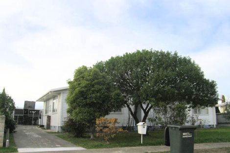 Photo of property in 19 Winchester Place, Tamatea, Napier, 4112