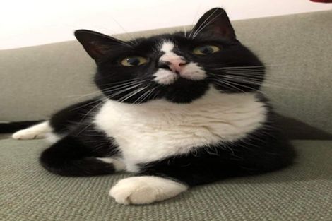 Photo of property in 56 Hathaway Avenue, Karori, Wellington, 6012