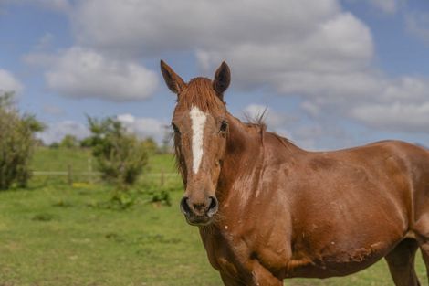 Photo of property in 62a Hikuai Settlement Road, Hikuai, 3579