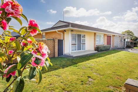 Photo of property in 46 Monrad Street, Highbury, Palmerston North, 4412