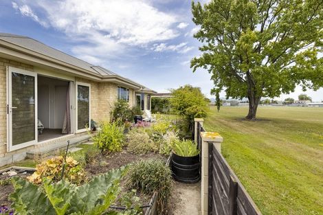 Photo of property in 113 Scott Street, Blenheim, 7201