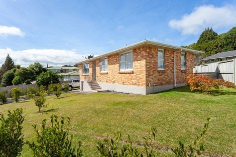 Photo of property in 95 Reservoir Street, Putaruru, 3411