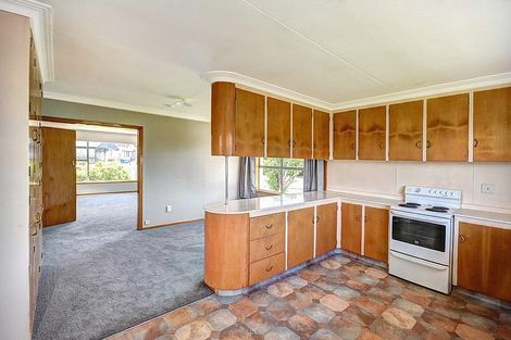 Photo of property in 45 Keinan Avenue, Milton, 9220