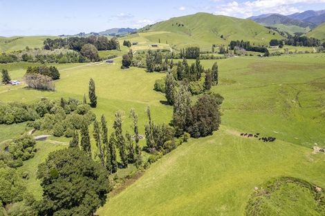 Photo of property in 268 Mikimiki Road, Mikimiki, Masterton, 5881