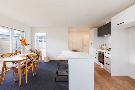 Photo of property in 107a Manawatu Street, Hokowhitu, Palmerston North, 4410