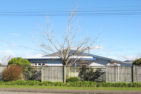 Photo of property in 16 Goodger Street, Waipukurau, 4200