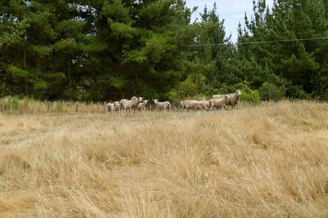 Photo of property in 177 Hitiri Road, Kinloch, Taupo, 3377