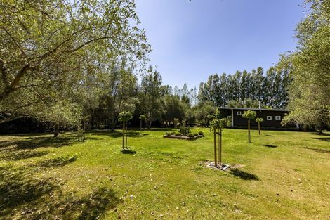 Photo of property in 16 Argyll Road, Otane, 4276