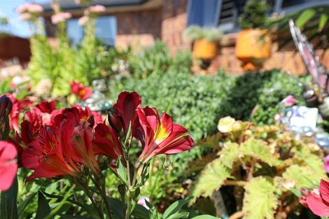 Photo of property in 1 Merlot Place, Te Kauwhata, 3710