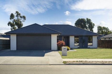 Photo of property in 38 Grigg Drive, Witherlea, Blenheim, 7201