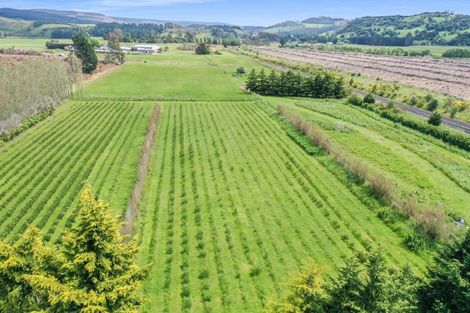 Photo of property in 37 Bluff Hill Road, Waianakarua, Oamaru, 9495