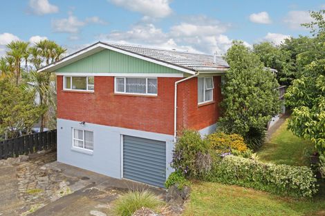 Photo of property in 19 Harrisville Road, Tuakau, 2121