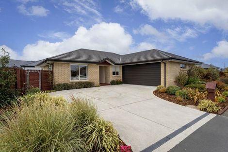 Photo of property in 7 Henrietta Street, Marshland, Christchurch, 8083