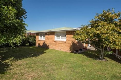 Photo of property in 43a Myres Street, Otumoetai, Tauranga, 3110