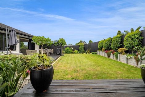 Photo of property in 397a Tukapa Street, Hurdon, New Plymouth, 4310