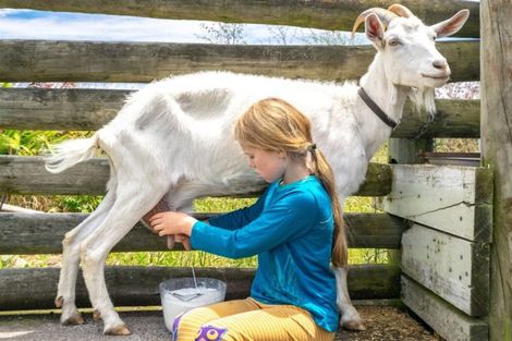 Photo of property in 162 Neal Road, Spring Creek, Blenheim, 7273