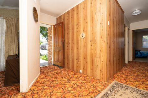 Photo of property in 93 Fitzroy Avenue, Fitzroy, Hamilton, 3206