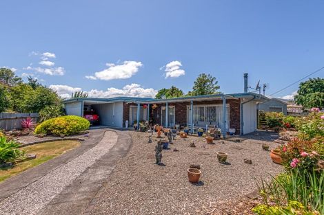 Photo of property in 54 Worcester Street, Ashhurst, 4810