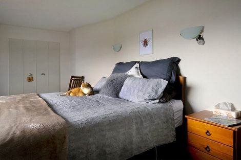 Photo of property in 43a Inkerman Street, Renwick, 7204