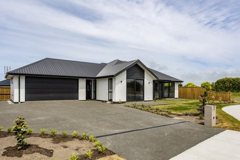 Photo of property in 7 Yates Place, Amberley, 7410