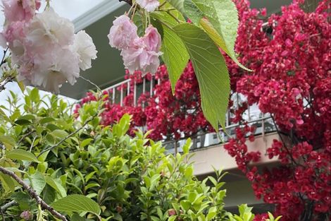 Photo of property in 1 Sunrise Lane, Te Atatu South, Auckland, 0610