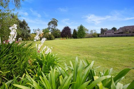 Photo of property in 13 Astelia Drive, Omokoroa, 3114