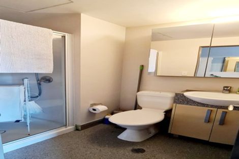 Photo of property in Dual Apartments, 108/142 Vivian Street, Te Aro, Wellington, 6011