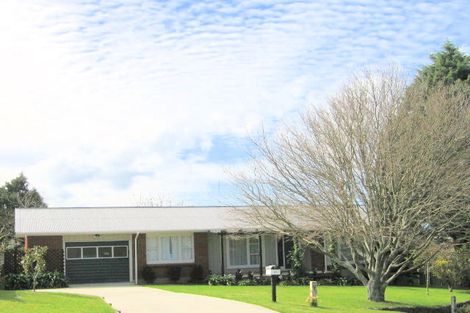 Photo of property in 45 The Drive, Brookfield, Tauranga, 3110