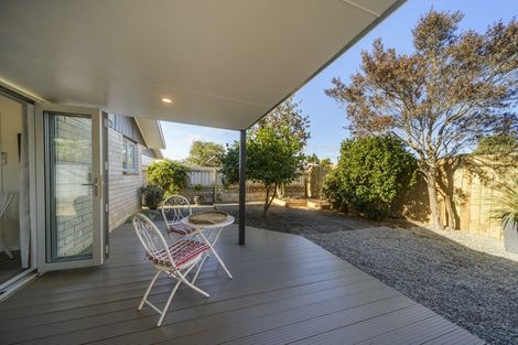 Photo of property in 176b Ruahine Street, Roslyn, Palmerston North, 4414