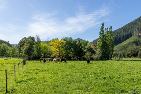 Photo of property in 208 Mount Riley Road, Okaramio, Havelock, 7178