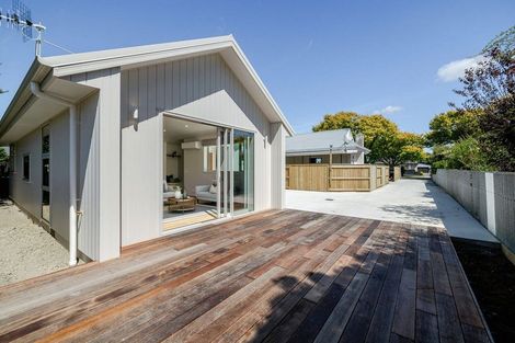 Photo of property in 43a Birmingham Street, Takaro, Palmerston North, 4412