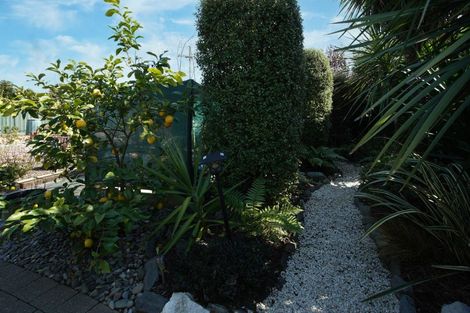 Photo of property in 137 Nayland Road, Stoke, Nelson, 7011