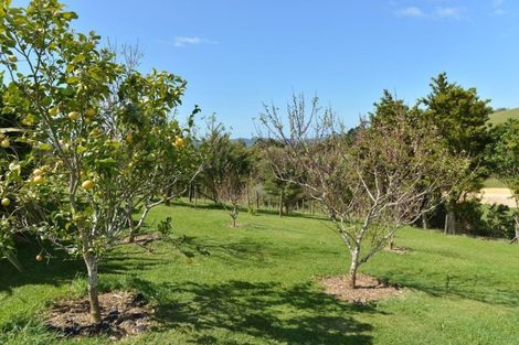 Photo of property in 965 Pataua Road North, Whareora, Whangarei, 0175