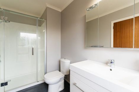 Photo of property in 3 Falcon Street, Roslyn, Dunedin, 9010