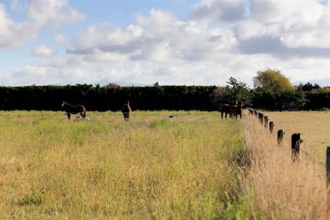 Photo of property in 265 Lehmans Road, Fernside, Rangiora, 7471