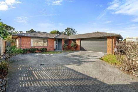 Photo of property in 33a Lismore Street, Strandon, New Plymouth, 4312