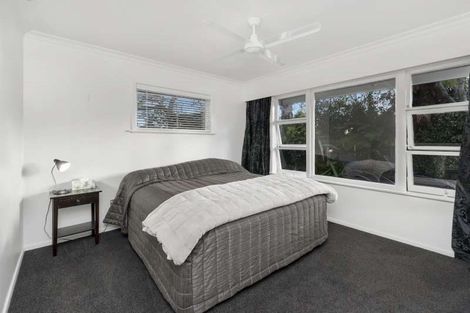 Photo of property in 46 Kaka Street, Taupo, 3330