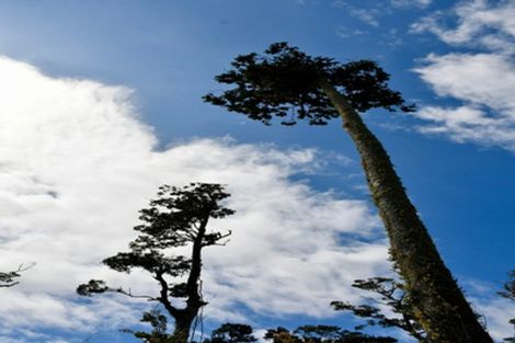 Photo of property in 76a Eco Place, Little Wanganui, Karamea, 7893