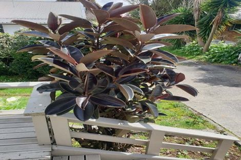 Photo of property in 84b Victoria Street, Pukekohe, 2120