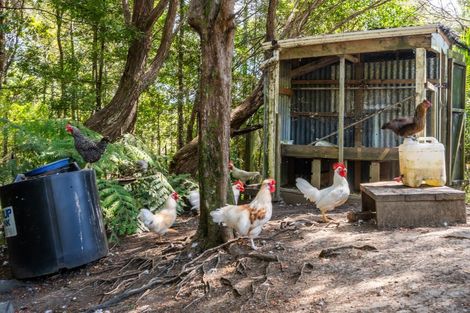 Photo of property in 202 Albany Heights Road, Albany Heights, Albany, 0792
