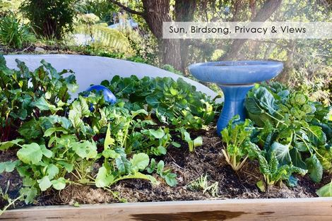 Photo of property in 16 Pine Grove, Tairua, 3508