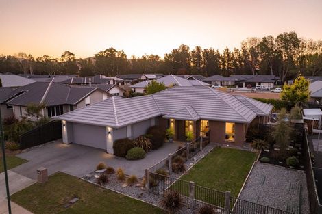 Photo of property in 16 Maeburn Street, Witherlea, Blenheim, 7201