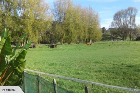 Photo of property in 431 Omanaia Road, Oue, Kaikohe, 0473