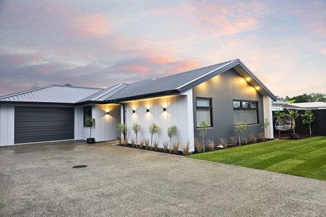 Photo of property in 24 Brightwater Terrace, Terrace End, Palmerston North, 4410