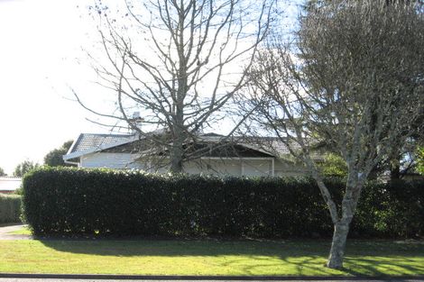 Photo of property in 123 Albert Street, Hamilton East, Hamilton, 3216