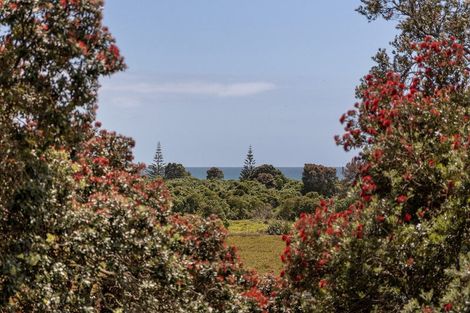 Photo of property in 37 Pohutukawa Drive, Athenree, Katikati, 3177