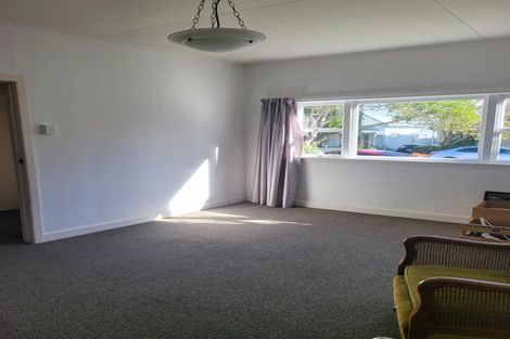 Photo of property in 4 Wellpark Avenue, Grey Lynn, Auckland, 1021