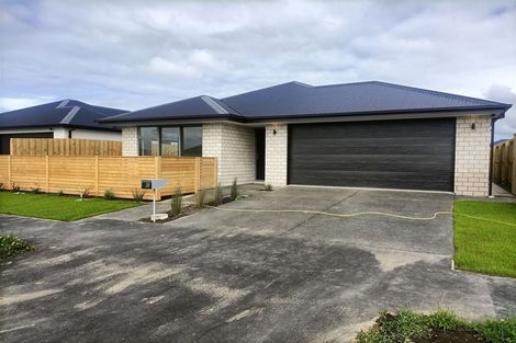 Photo of property in 20 Sedge Street, Belfast, Christchurch, 8051