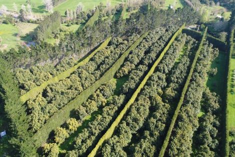 Photo of property in 168 Wright Road, Aongatete, Katikati, 3181